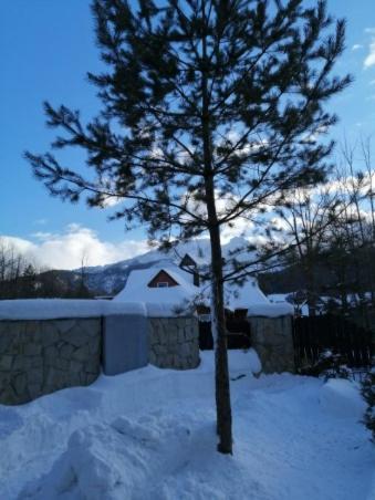 Domek Zakopianska Chata Zakopane Exteriér fotografie